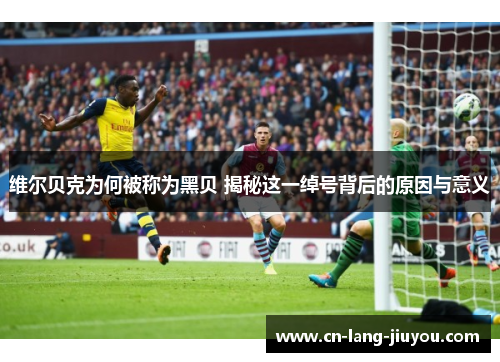 维尔贝克为何被称为黑贝 揭秘这一绰号背后的原因与意义