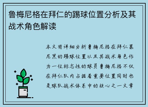 鲁梅尼格在拜仁的踢球位置分析及其战术角色解读