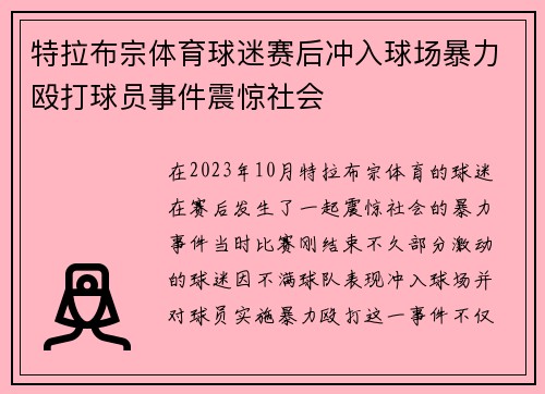 特拉布宗体育球迷赛后冲入球场暴力殴打球员事件震惊社会